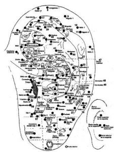 Mappa Auriculoterapia