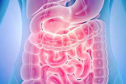 Agopuntura nelle patologie apparato digerente